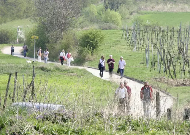 Ein Highlight ist der Osterspaziergang am 21. April durch die Kellergasse Stoitzendorf. | Foto: Jarmer Margarete