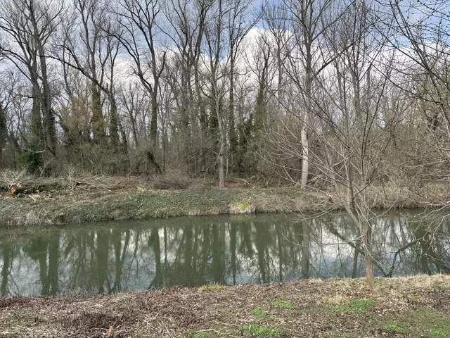 Foto: Victoria Edlinger