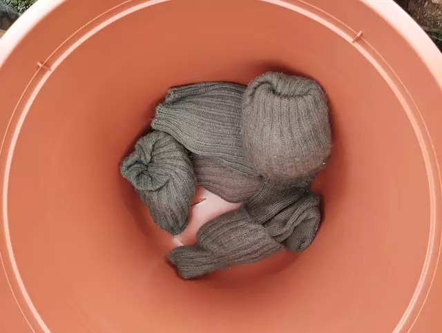 Foto: Veronika Frank