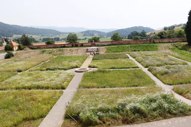 Die Aufnahme entstand 2024. Sie zeigt das Wegenetz, die historische Brunnenanlage und die Blühwiesen. Der Stiftsgarten wird bis zur Eröffnung im Juni 2025 noch um Ramblerrosen erweitert.  | Foto: Edith Ertl