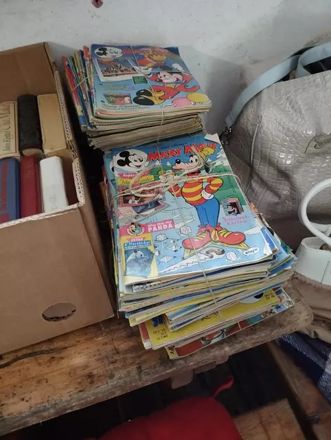 Foto: Veronika Frank