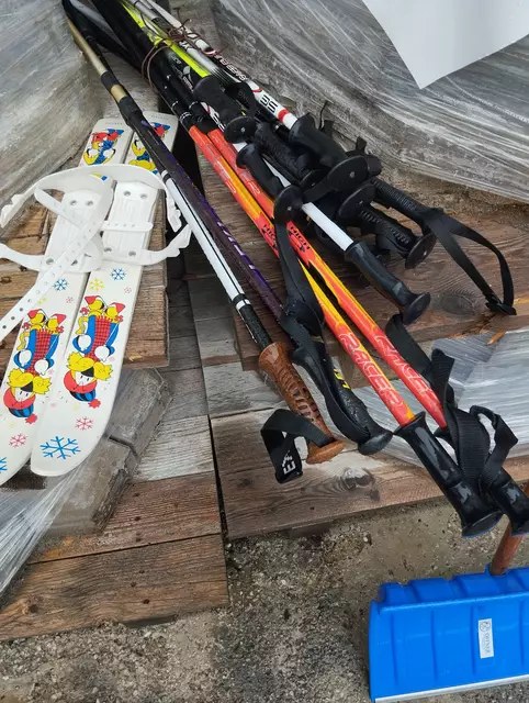 Foto: Veronika Frank