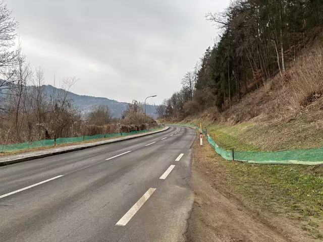 Die Straßenmeisterei Leoben unterstützt die Krötenrettung alljährlich und errichtet die farbenfrohen Krötenzäune. | Foto: MeinBezirk