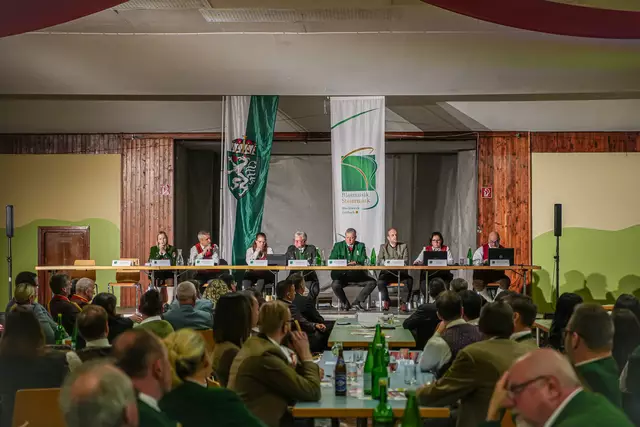 Der Vorstand bot einen Rückblick und eine Vorausschau | Foto: Blasmusikbezirksverband Feldbach