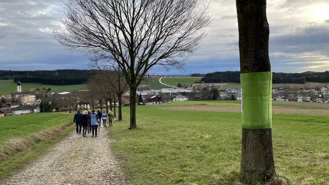 Vergangenes Jahr war der Trauerweg in Gurten aufgebaut. Heuer ist er in Mörschwang frei begehbar. | Foto: RK Ried