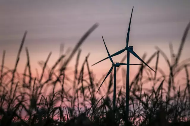 Im Stiftingerforst sollen zehn Windräder entstehen, sieben auf Gemeindegebiet von Königswiesen und drei im angrenzenden St. Georgen am Walde (Bezirk Perg). | Foto: Profes