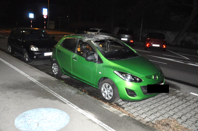 Foto: LPD Wien