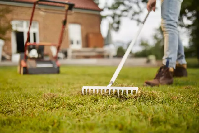 Das Frühjahr nutzen viele Gartenbesitzer, um ihren Rasen wieder auf Vordermann zu bringen | Foto: Compo