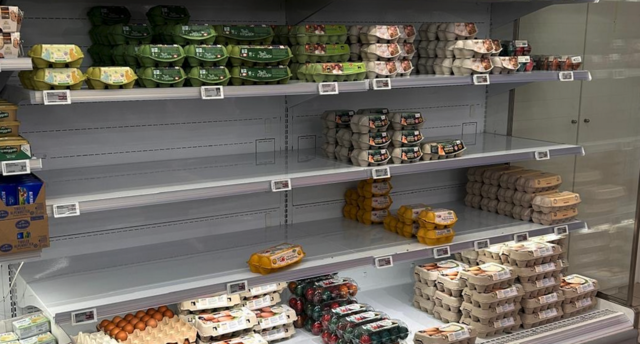So sahen die Regale im Supermarkt im Februar aus. Jetzt und zu Ostern sind Eier im Bezirk Villach keine Mangelware. | Foto: MeinBezirk.at