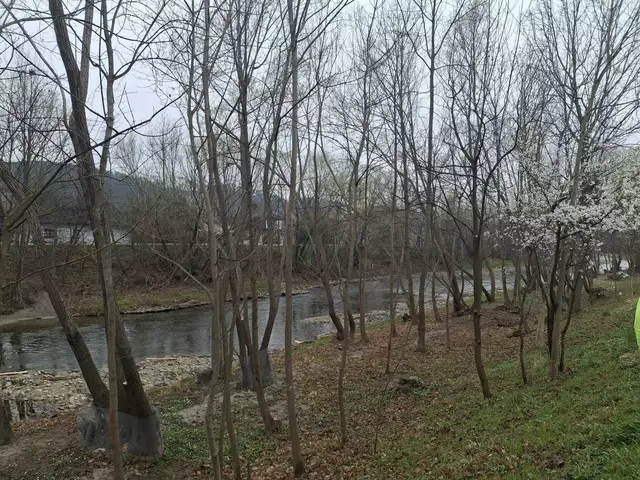 So soll es aussehen. | Foto: IG Schwarza