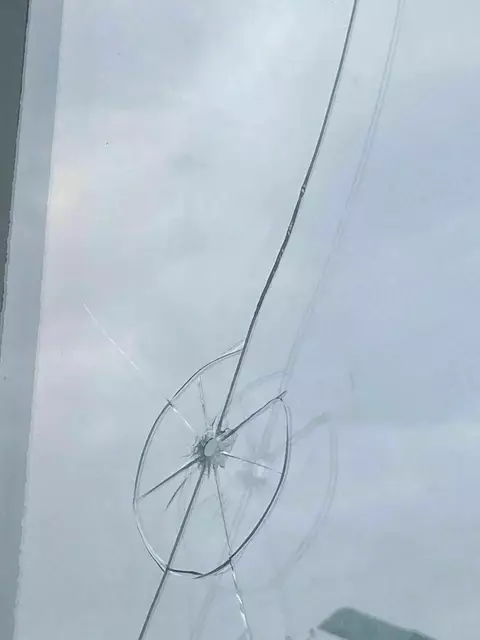 Gegenüber MeinBezirk sagte FPÖ-Meidling-Parteiobfrau Petra Steger, dass ein Parteifunktionär am Dienstag die Beschädigungen bemerkt hat. | Foto: FPÖ Meidling