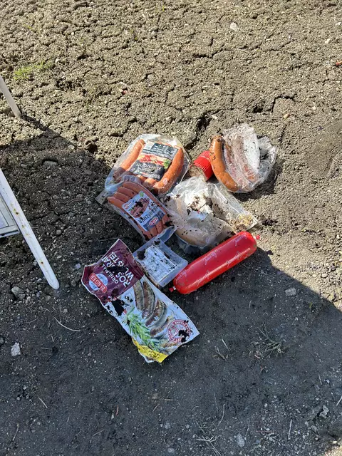Originalverpackte Lebensmittel an einer Bioabfallsammelstelle in Rohrbach-Berg | Foto: zVg