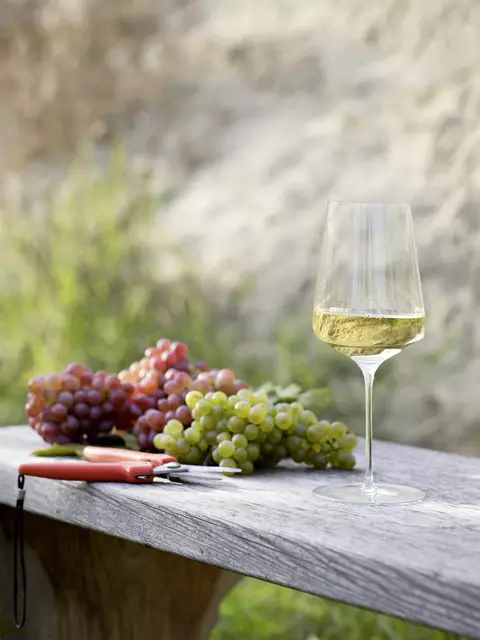 Foto: Leonhard Hilzensauer