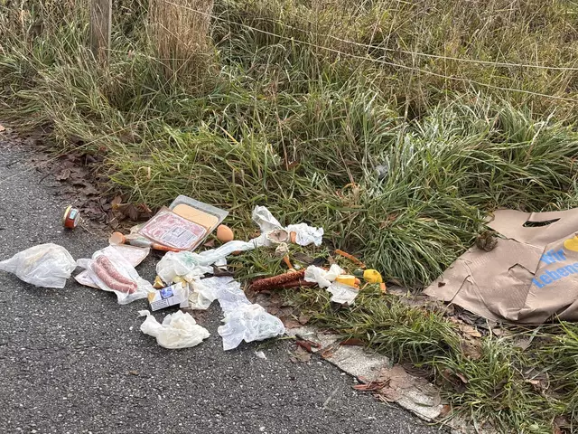 Foto: Stadtamt Rohrbach