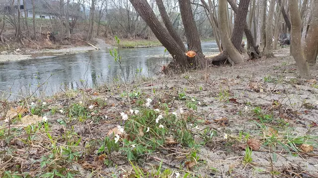 Foto: Heidelinde Prüger