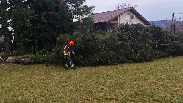 Foto: FF Ternitz-Pottschach
