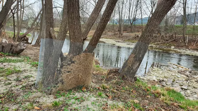 Foto: Heidelinde Prüger