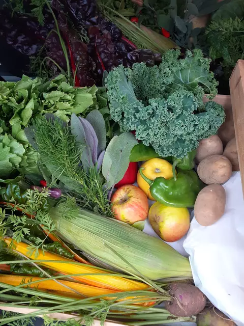 Der Biohof Steinböck legt großen Wert auf regionales und saisonales Obst und Gemüse. | Foto: Biohof Steinböck
