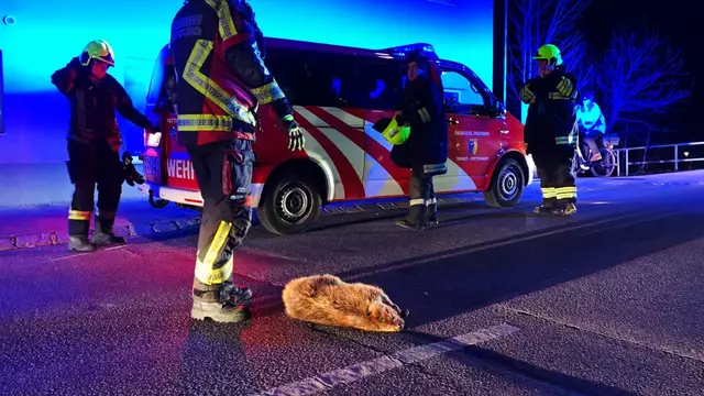 Foto: FF Ternitz-Pottschach