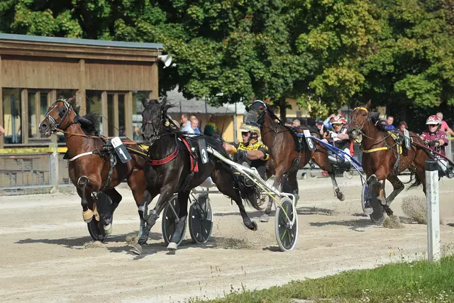 Die Welser Trabrennbahn wurde modernisiert und zukunftsfit gemacht - Ab Mitte April nimmt sie heuer wieder ihren Betrieb auf. | Foto: Trabrennverein