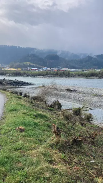 Wo ist die Vegetation an der Hans-Flöckinger-Promenade im Westen von Innsbruck hin?  | Foto: Marco Föger