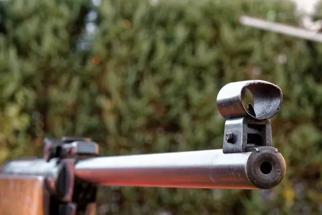 Ein kurioser Fall beschäftigt die Beamtinnen und Beamten der Polizei im Bezirk Lilienfeld. Zwei Biber wurden getötet, enthauptet und ihre Kadaver danach im Biomüll entsorgt. (Symbolfoto) | Foto: Pixabay/Bruno