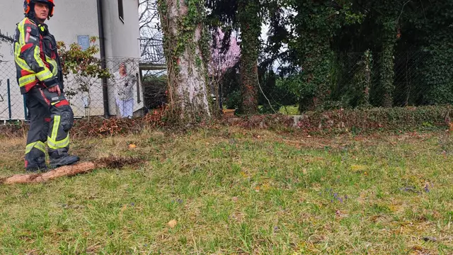 Foto: FF Ternitz-Pottschach