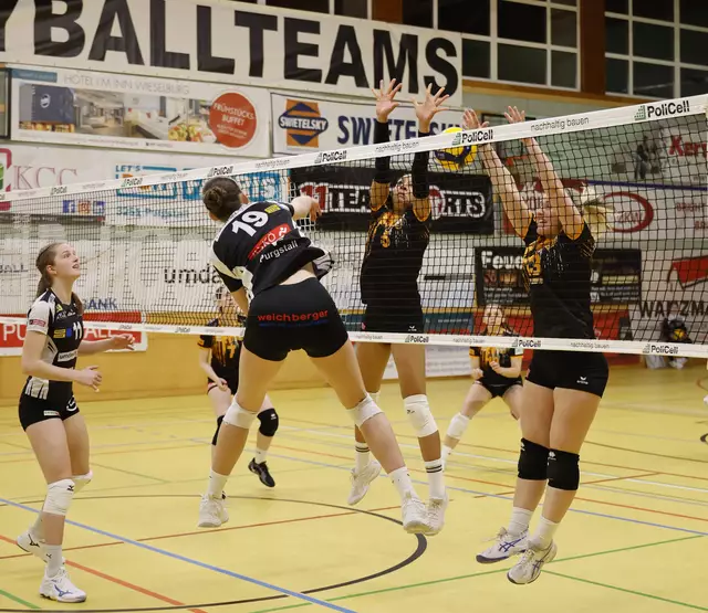 Die Purgstaller Volleyballdamen waren im letzten Heimmatch der Saison nicht zu schlagen.