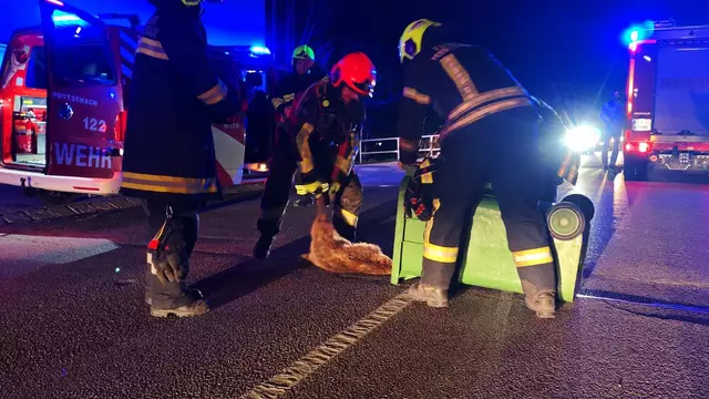 Foto: FF Ternitz-Pottschach