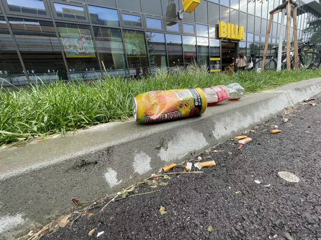 Müllsündern soll es an den Kragen gehen: Die Behörde "Waste Watcher" wird um ein Drittel größer, die Kontrollen ausgeweitet. (Archiv) | Foto: Johannes Reiterits