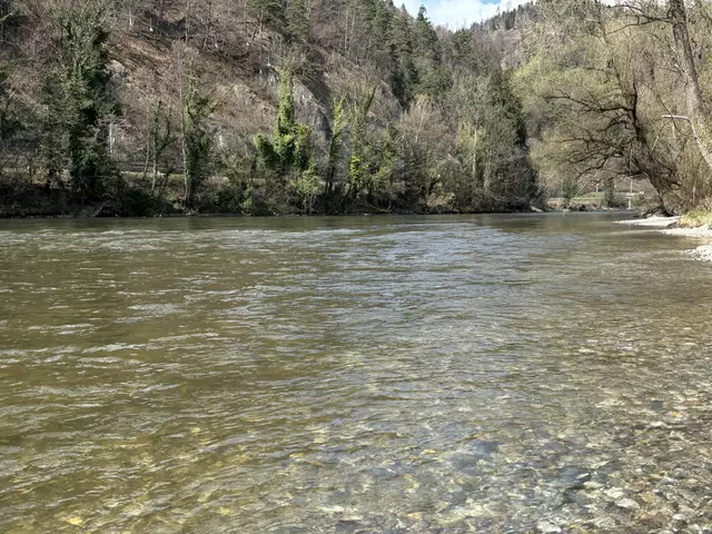Renaturierung gelungen: Ein Blick auf das Projekt in der Marktgemeinde Gratkorn. | Foto: MeinBezirk/Nico Deutscher