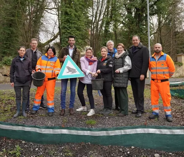 Krötenwanderungen sind in Niederösterreich weitverbreitet. Das Land baut die Schutzmaßnahmen für die Amphibien weiter aus. Verkehrslandesrat-LH-Stellvertreter Udo Landbauer (FPÖ) machte sich einen eigenen Eindruck von den Maßnahmen und sicherte Investitionen in der Höhe von 60.000 Euro für den Ausbau ebenjener im Zeitraum 2025/26 zu. | Foto: Büro LH-Stv. Landbauer