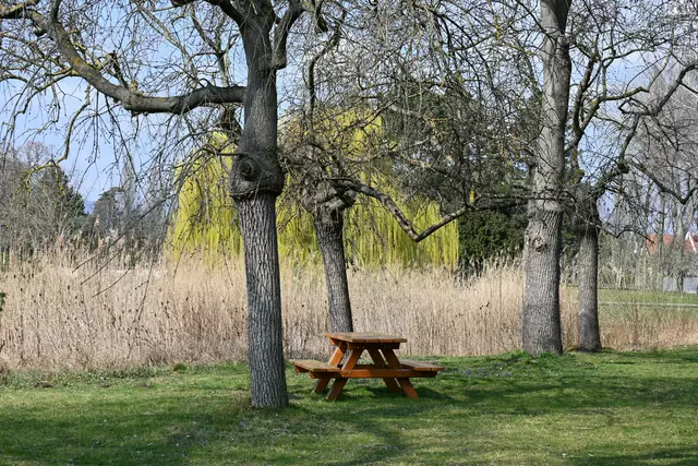 Der barrierefreie Park in der Ruthnergasse ist jetzt komplett fertig und für die Floridsdorferinnen und Floridsdorfer geöffnet. | Foto: Symbolfoto: Herbert Ziss