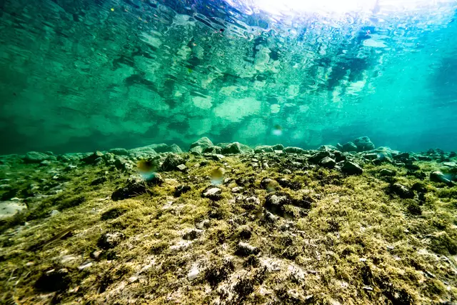 Der Attersee liegt im Bezirk Vöcklabruck. | Foto: Werner Kerschbaummayr