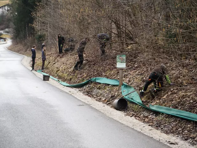 Schülerinnen und Schüler der HBLFA Raumberg-Gumpenstein unterstützten die Berg- und Naturwacht beim Aufbau eines Amphibienzaunes. | Foto: HBLFA Raumberg-Gumpenstein