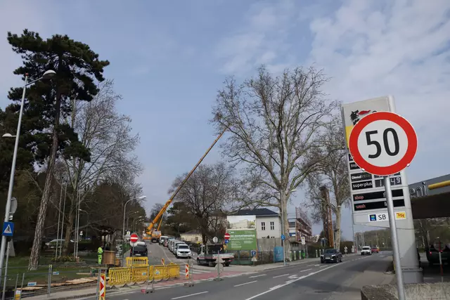 Wenn es warm wird, gibts wieder mehr Baustellen. | Foto: Seebacher
