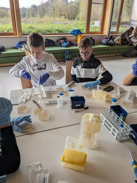Schüler des BRG Seekirchen in der Auenwerkstatt. | Foto: Forschungsinstitut für Limnologie