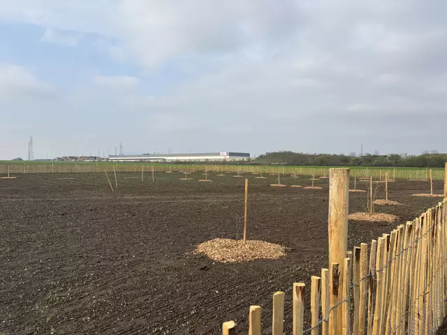 Foto: Michael Marbacher/MeinBezirk