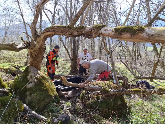Im Rahmen von INNsieme connect wurden für die Gelbbauchunken künstliche Laichgewässer installiert. | Foto: Marianne Götsch