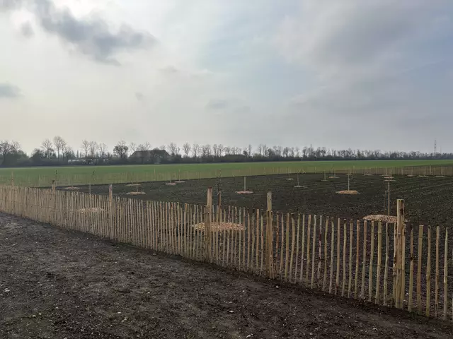Die Bäume wurden in einem eingezäunten Gebiet in der Rosiwalgasse gepflanzt. Erste Früchte sollen diesen Sommer wachsen. | Foto: Michael Marbacher/ MeinBezirk