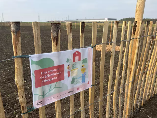 Der Obstgarten soll öffentlich zugänglich sein.  | Foto: Michael Marbacher/MeinBezirk