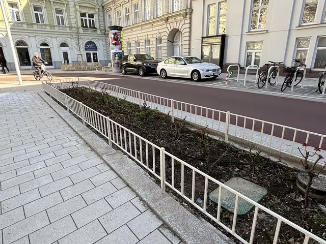 Die zuerst eingesetzten Pflanzen hätten sich nicht für die Beete geeignet, erklärt die Bezirksvorsteherin Lea Halbwidl (SPÖ). | Foto: Nathanael Peterlini/MeinBezirk