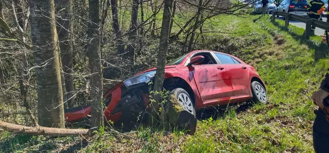 Der Unfalllenker konnte sich selbst aus dem Auto befreien. | Foto: FF Pimpfing