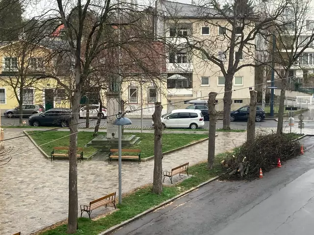 In der Silbergasse wurden Bäume gefällt. Anrainerinnen und Anrainer sind besorgt.  | Foto: z.V.g.