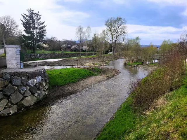 Blick flussaufwärts: Die Gusen nun hat in mehreren Armen wieder Raum zum Fließen. Sedimentdämme, Schlamm und zu üppige Verbuschung wurden schonend beseitigt. | Foto: Eckhart Herbe