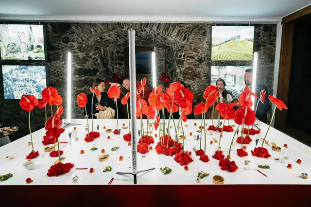 Foto: Matic Kremžar