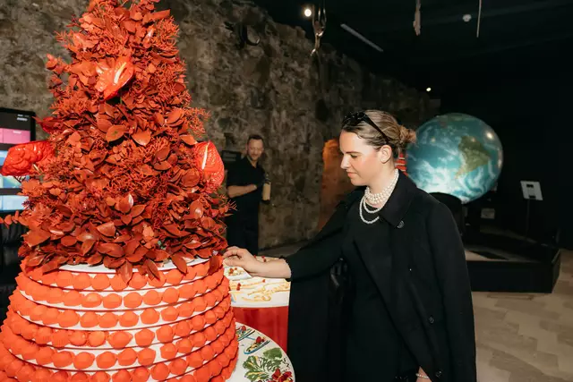 Foto: Matic Kremžar