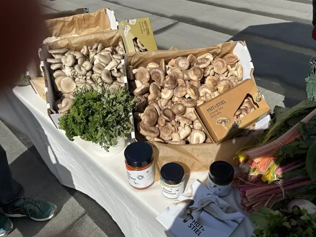 Auch frisches Obst und Gemüse soll angeboten werden. | Foto: Kevin Gleichweit/MeinBezirk