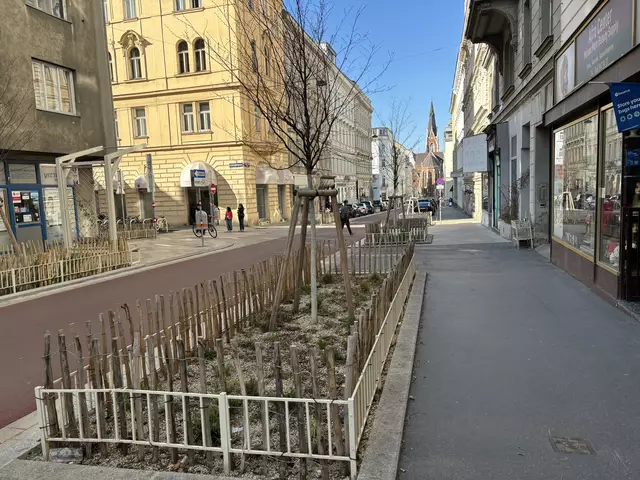 Die Pflanzen mehrerer neuer Beete in der Argentinierstraße wurden bereits wieder entfernt.  | Foto: Nathanael Peterlini/MeinBezirk