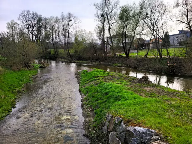 Blick flussabwärts der Wimmingerbrücke. Links der nun permanent durchflossene Bypass. | Foto: Eckhart Herbe